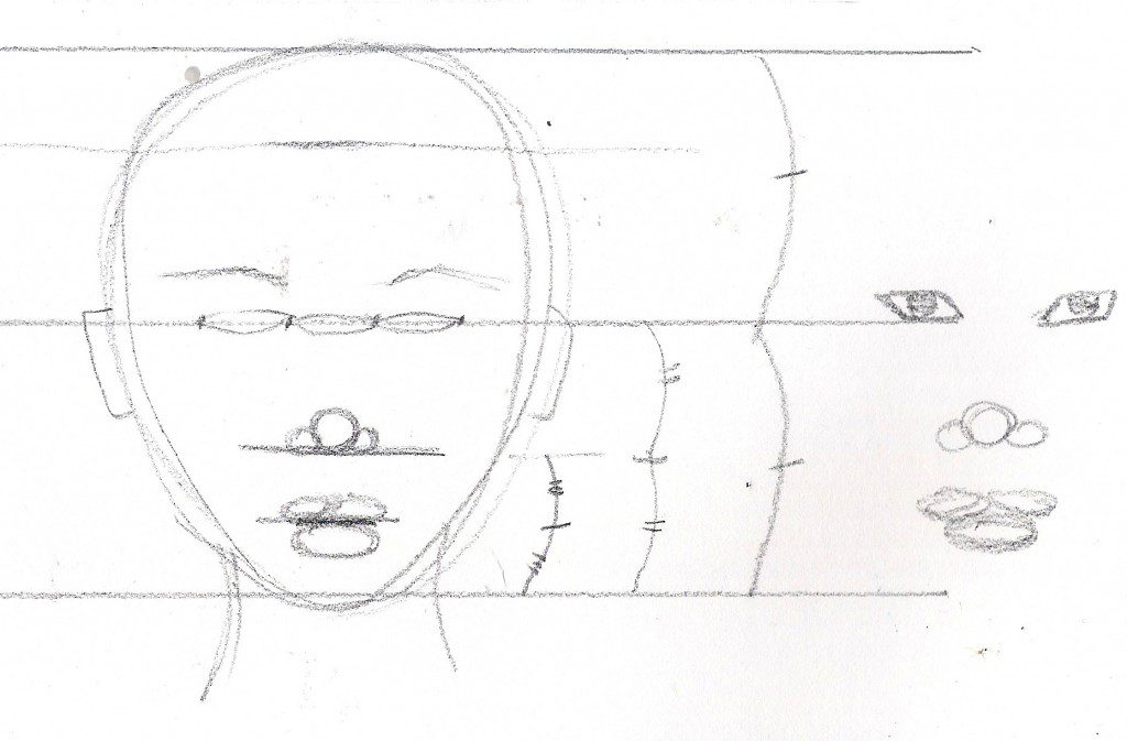 drawing the proportions of a face on the shape of the head by Laura Voplpintesta